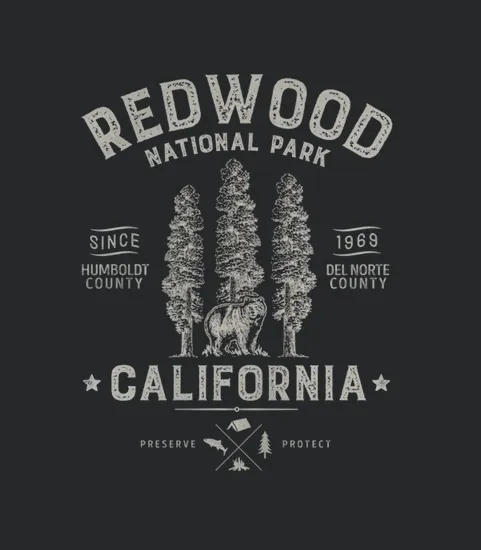 Redwood National Park T Vintage California Bear Gifts