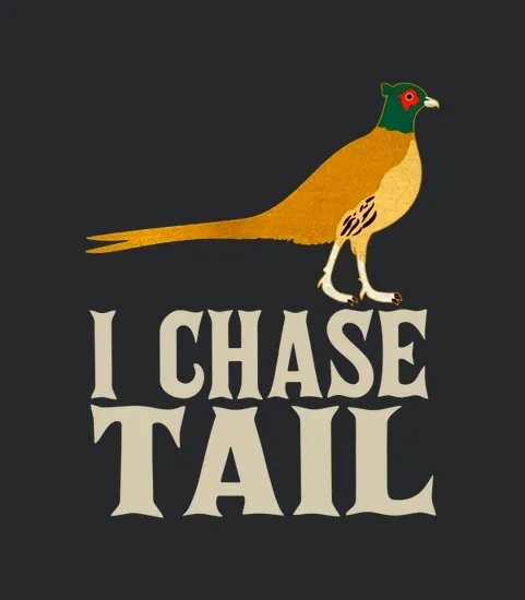 Pheasant Hunting