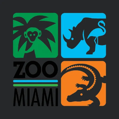 Zoomiami