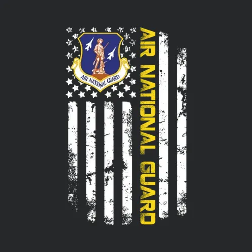 Air National Guard American Flag