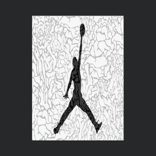 Air Jordan Black And White T For