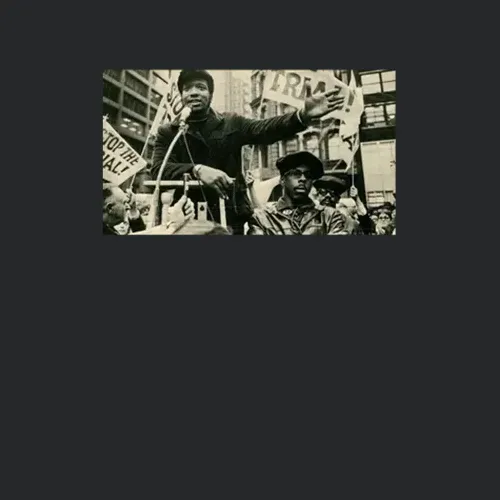 Fred Hampton Speech Black Panther Party Black History
