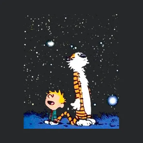 New Calvin And Hobbes Stargazing