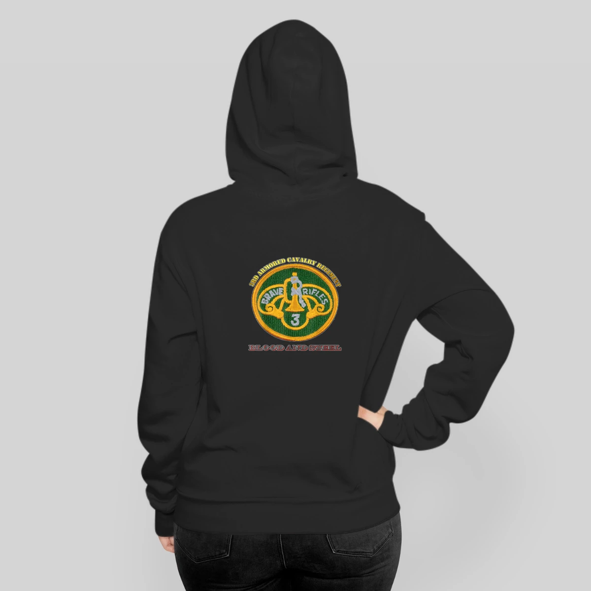 3rd Armored Cavalry Regiment For Army 3rd Acr Vets