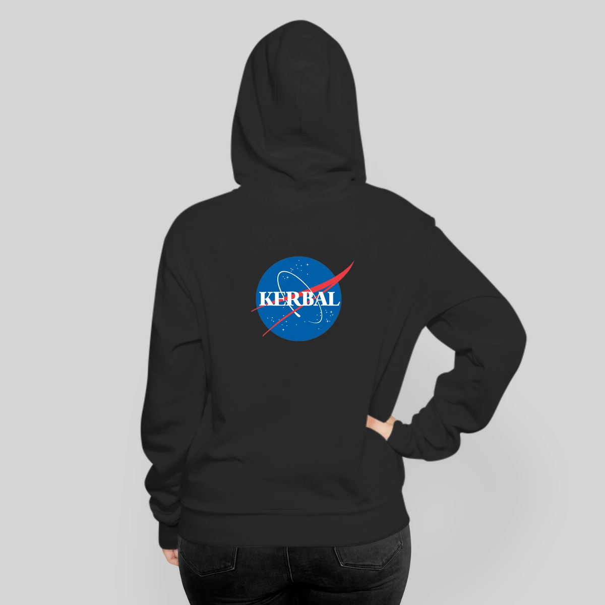 Kerbal Space Program Nasa Logo Large