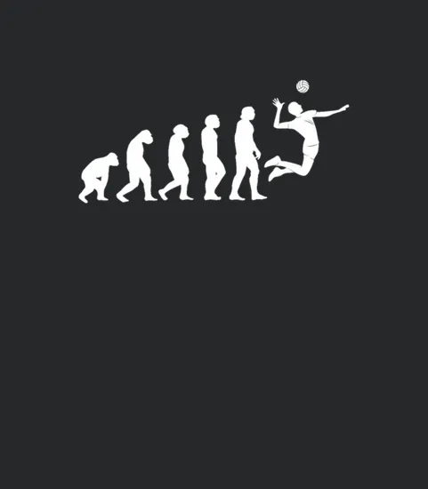 Volleyball Evolution Volleyballs Volleyball