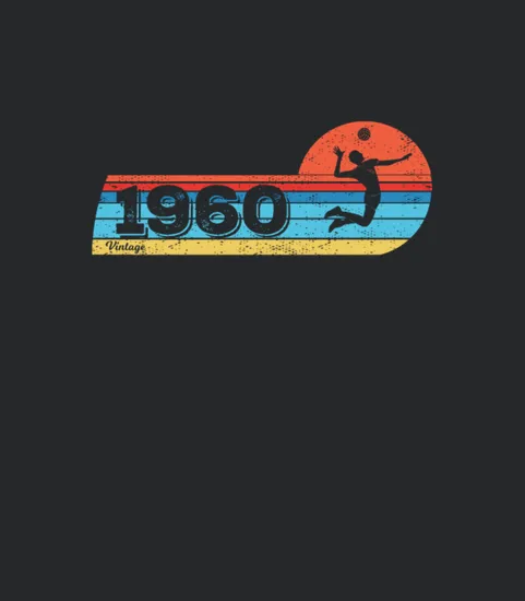 Volleyball Volleyballs Balls Vintage Volleyball