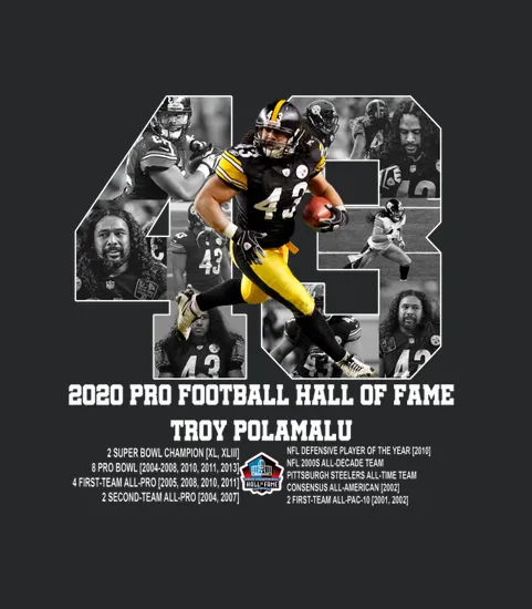 2020 Pro Football Hall Of Fame Troy Polamalu Number 43