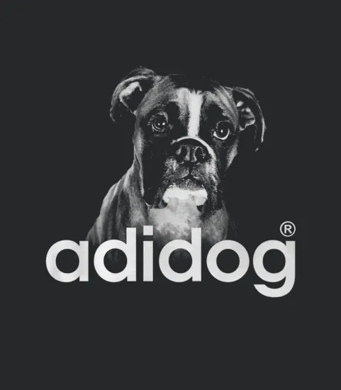 Adidog Boxer Drole Chien