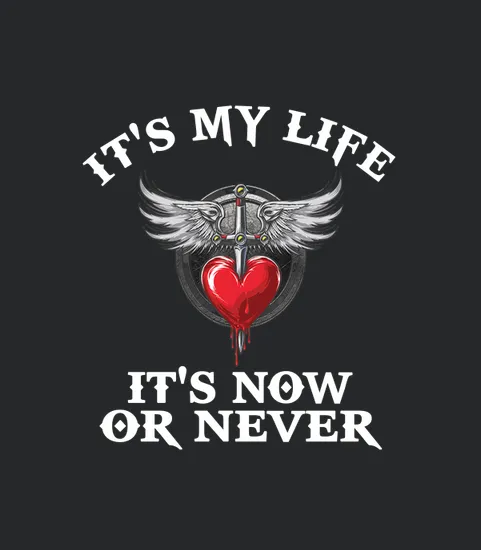 Bon Jovi Its My Life Its Now Or Never