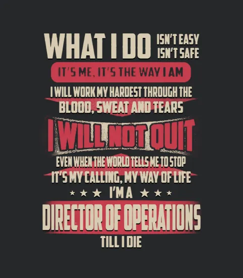 Director Of Operations What I Do Job