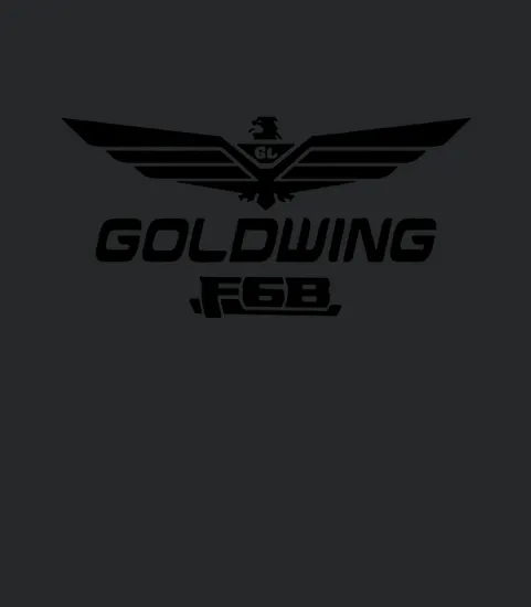 Goldwing F6b Front And Back Print