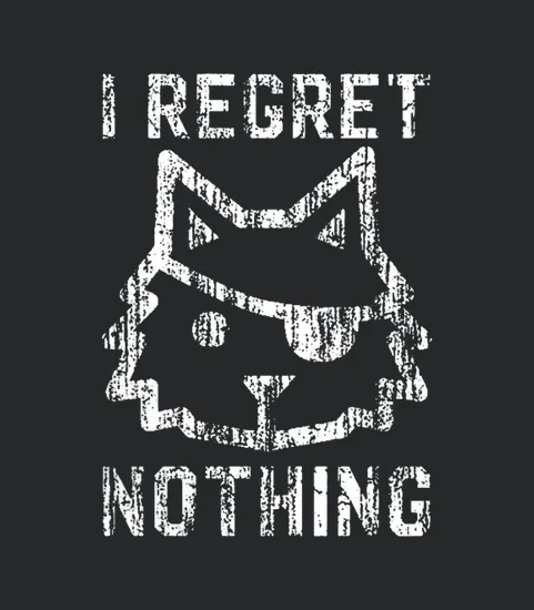 I Regret Nothing Pirate Cat