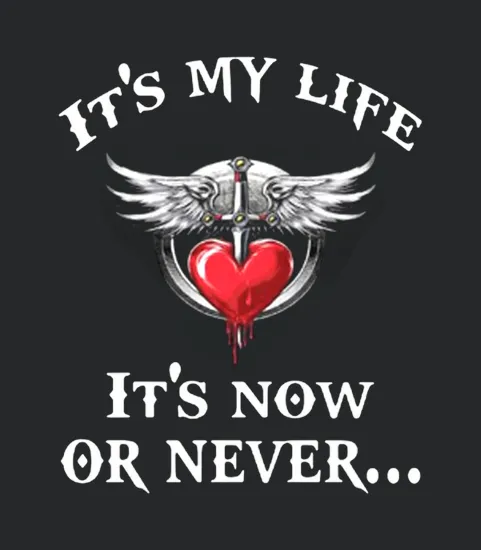 Its My Life Its Now Or Never Bon Jovi