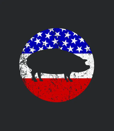 Pig Roast Retro Style Bbq Cookout American Flag