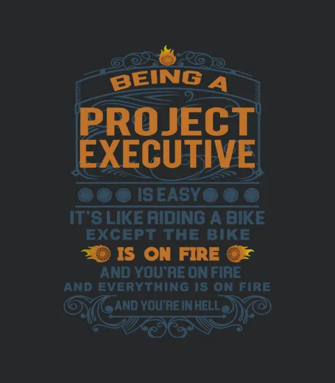 Project Executive