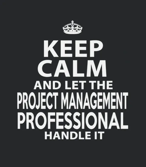 Project Management Professional