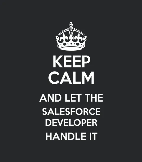 Salesforce Developer