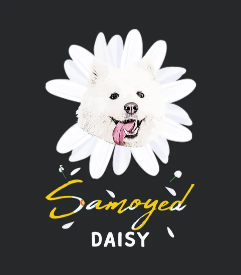 Samoyed Cute Dog Daisy