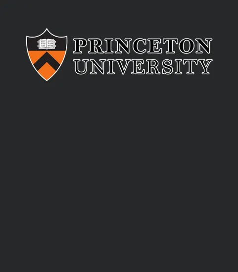 Simple Logo Princeton University 2020