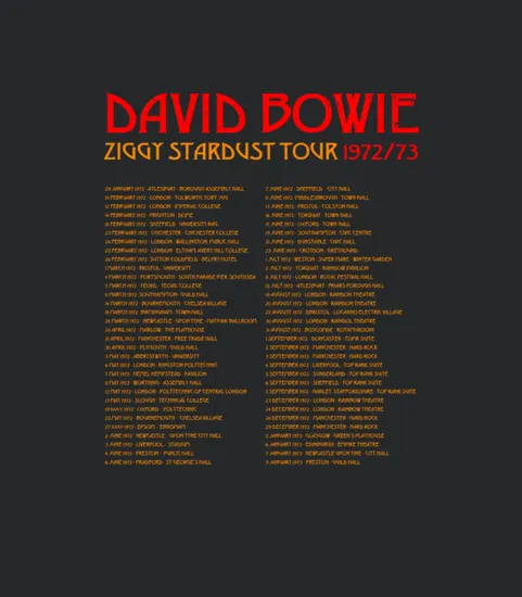 David Bowie Tour 2sd