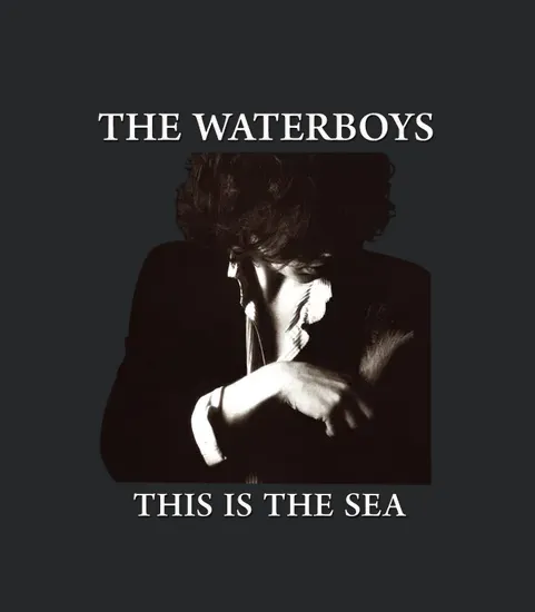 Rk80s 263 The Waterboys This Is The Sea