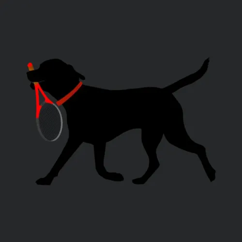 Tennis Labrador Fetch Tennis Racket Black Lab Tenn