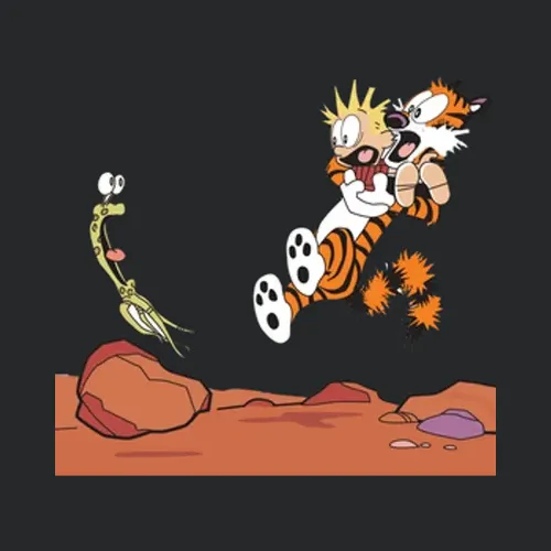 Calvin And Hobbes 17