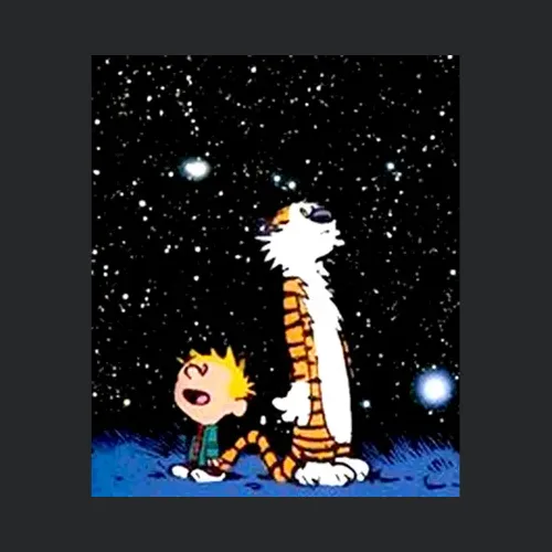 Calvin And Hobbes Stargazing Sport Grey