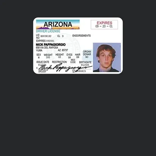 Nick Pappagiorgio Arizon Driver License Vegas Vacation Movie Chevy Chase Las Vegas Nevada