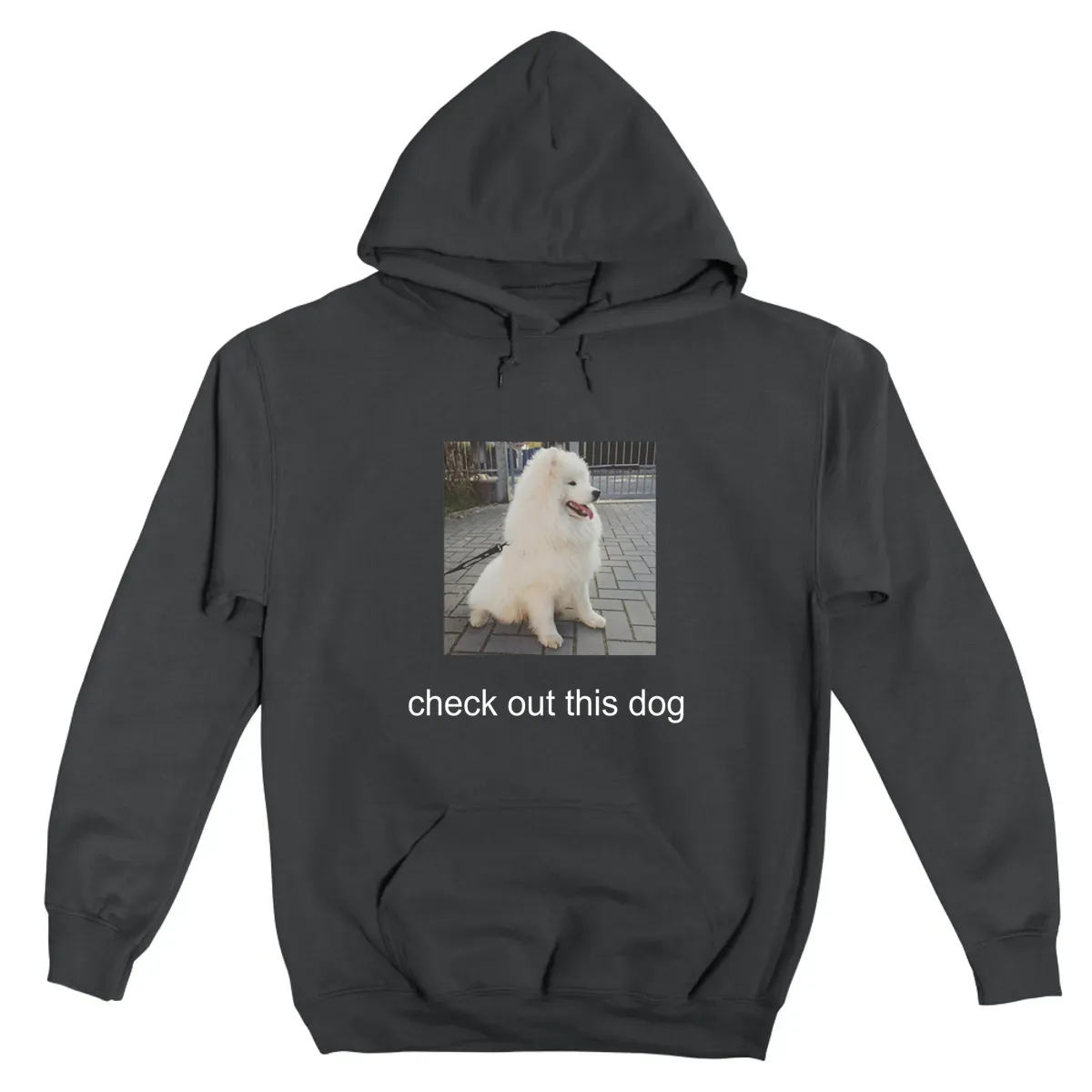 Check Out This Dog Wow