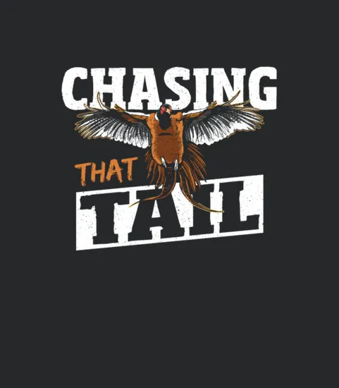 Chasing That Tail Pheasant Hunting Pheasant Hunter