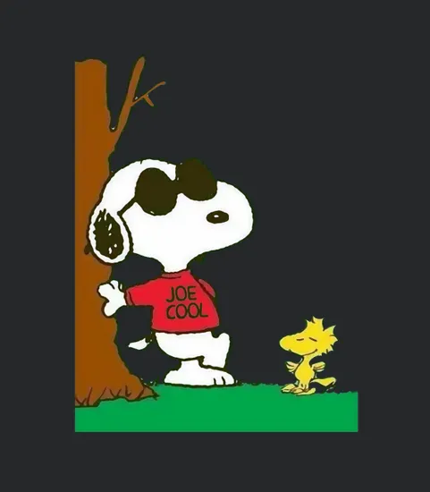 Snoopy Joe Cool And Woodstock