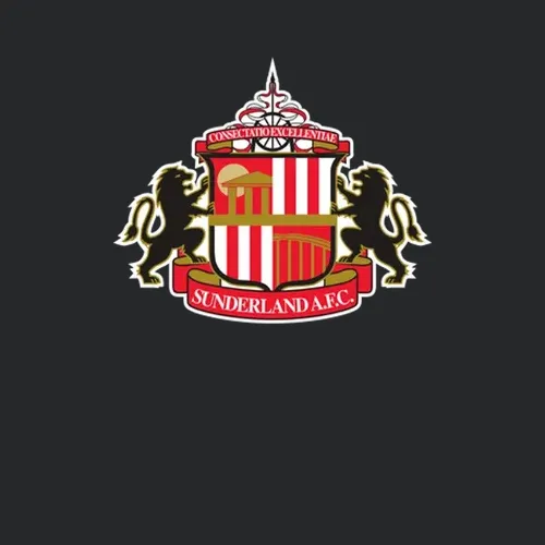 Sunderland Afc Sports Pig In