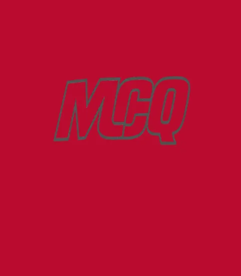 Mcq By Alexander Mcqueen Logo