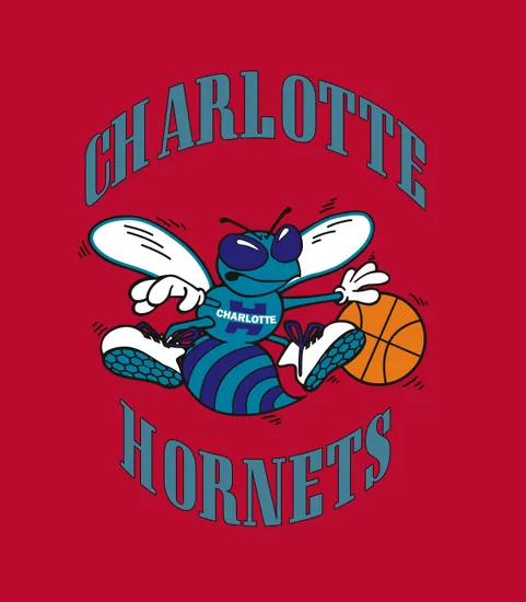Charlotte Hornets