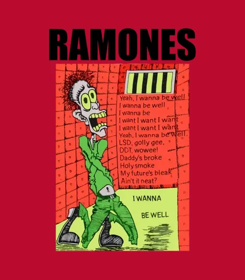 2 Sides 1980s The Ramones Vintage Rare Original Punk Rock Band 1988 Concert Tour
