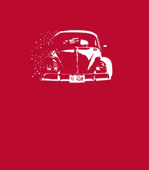 Beetle Car Type 1