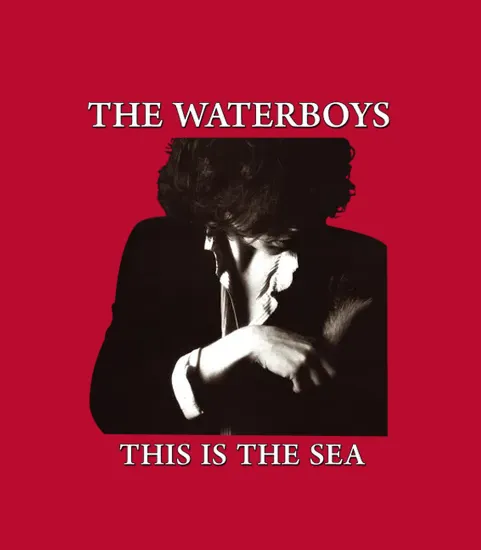 The Waterboys This Is The Sea