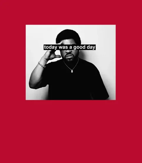 Ice Cube Today Was A Good Day