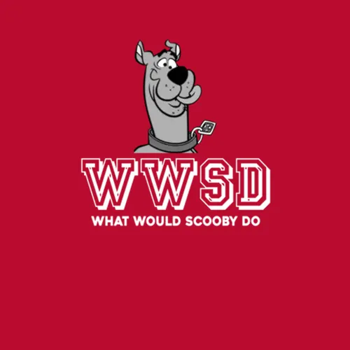 Scooby Doo Wwsd What Would Scooby Do Favorite Character Tv Show Fan T