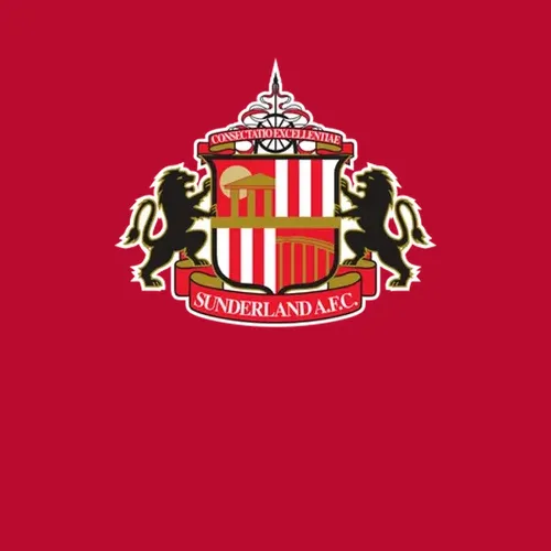 Sunderland Afc Sports Pig In