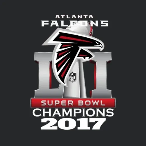 2017 Atlanta Falcons Super Bowl Li Champions Rise Up New Black T Shirts