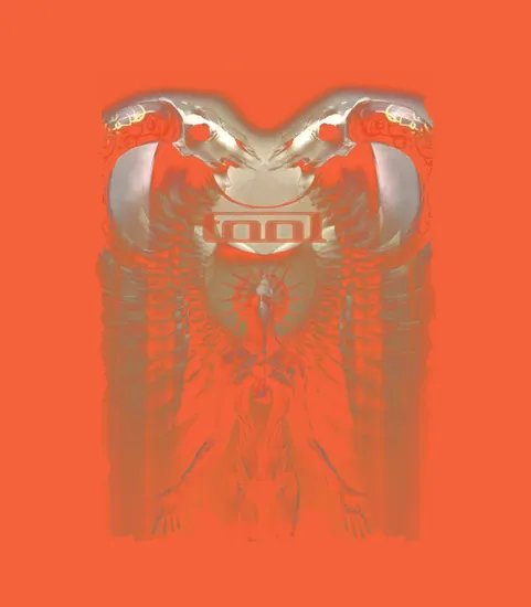 2 Side Tool Band In Concert