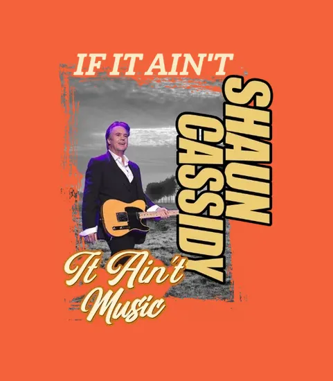 If It Aint Shaun Cassidy It Aint Music