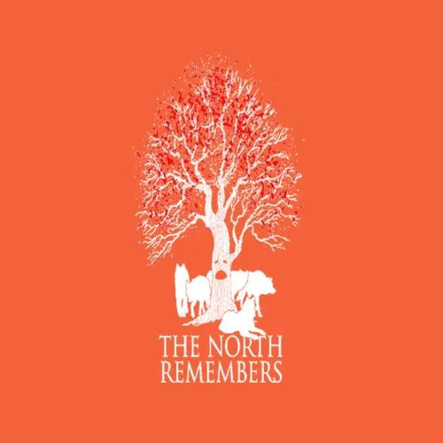 The North Remembers Jon Snow Game Of Thrones Cool Graphic