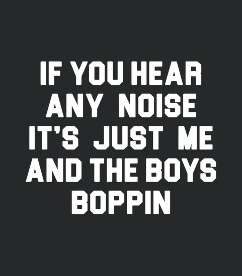 If You Hear Any Noise Me And The Boys Boppin
