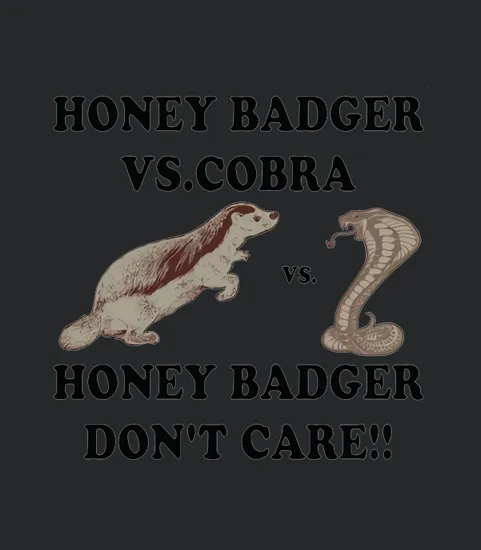 Honey Badger Vs Cobra Honey Badger Dont Care