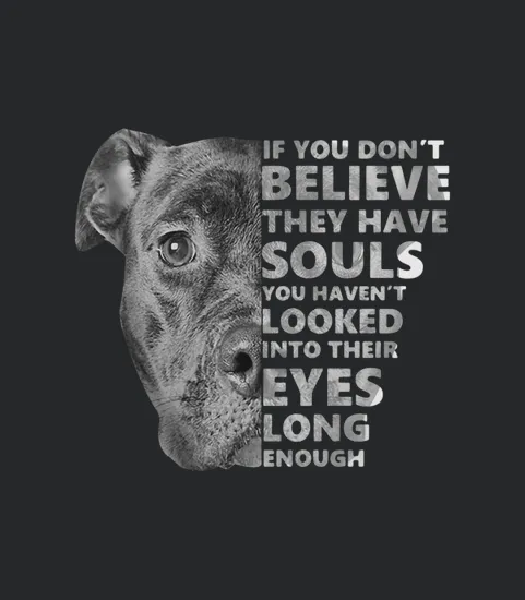 Pitbull If You Dont Believe They Have Souls You Havent Looked Into Ther Eyes Long Enough