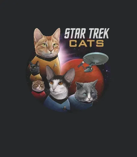 013 Star Trek
